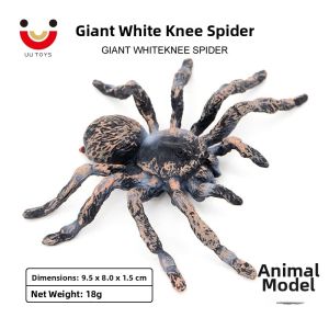 Early Education Insect Toy Model Spider