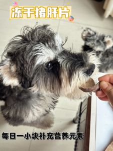 Dried Pig Liver Slices Pet Snacks for Dogs And Cats Nutritional Supplement Blood Building Crispy No Additives Pet Iron Supplement