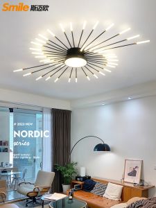 Smile | Luxurious Simple Modern Nordic Style Ceiling Light