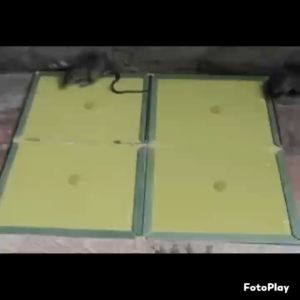 Mouse Trap Doom Rat Trap Rat Catcher Glue Trap Rodent Expert Sticky Bond Mice Pad Traps