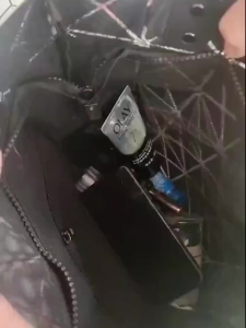 [ SG Ready stockSG Ready Stock Felt Insert Bag for Issey Miyake Liner Organizer Tote Bag Womens Large Capacity Handbag with Multi-Pocket Design & Secure Zippered Compartment