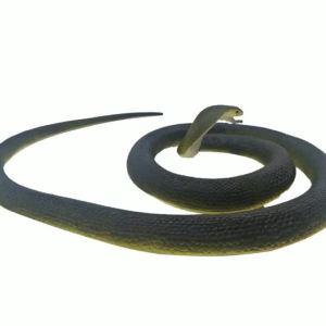120cm Halloween Decoration Garden Props Prank Rubber Snakes Realistic Rubber Snakes Black Mamba Snake Simulation Toy Drama Props