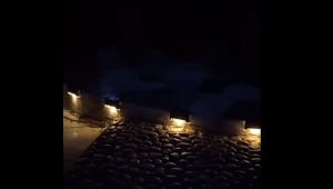 【Buy More Save More】LuzNest LED Solar Stair Light Waterproof Outdoor Garden Passage Courtyard Terrace Guardrail Step Light Landscape Light