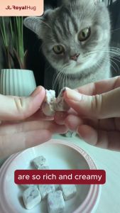 【Buy 4 Free 6】RoyalHug Probiotic Freeze-Dried Yogurt Cube With Berries | Cat & Dog Food (10 packs) RoyalHugge