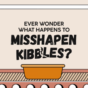 [Bundle] Kooky Kibble Dry Dog Food 12kg Grain Free New Zealand Made + 5x Awesome Pawsome Dog Treats