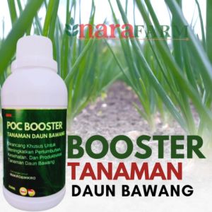 Pupuk Semprot Bawang DaunPupuk Penyubur Tanaman Bawang DaunPenguat Bawang Daun Anti Hama ulat