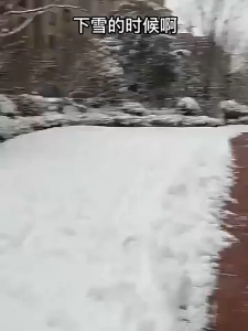 LÓT GIÀY NGẢI CỨU GỪNG TỰ PHÁT NHIỆT – Combo 2 cặp – GIỮ ẤM KHỬ MÙI CHĂM SÓC SỨC KHỎE ĐÔI CHÂN