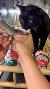 Pate cho mèo Catchy Lon 400gr