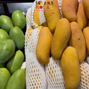 SUCCULENT MAHA CHANOK RAINBOW MANGOES IMPORTED FROM THAILAND - PACK OF 3 - ISTANA ROYAL FRUITS