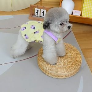 váy đầm baby doll Ladybug dành cho chó mèo - T3 PETS SHOP