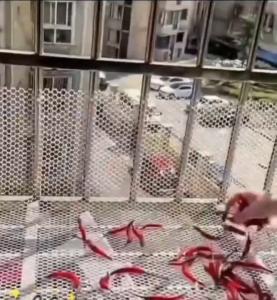 Jaring Pengaman Plastik Balkon Jaring Pelindung Jaring Pagar Peternakan Ayam & Bebek Terhadap Benda