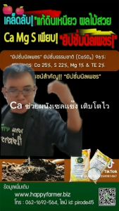ยิปซั่มนิลเพชร: ยิปซั่มธรรมชาติบริสุทธิ์ 96%  ประกอบด้วยสารอาหาร Ca(22%) Mg(1%) S(25%) "ขจัดปัญหาดินแข็ง เหนียว อัดเเน่น  รากแข็งแรง พืชโตไว ป้องกันโรค-เเมลง! เพิ่มคุณภาพเนื้อผลไม้ สีสวย กลิ่นหอม เนื้อเเน่น เเก้ปัญหาดินเค็ม