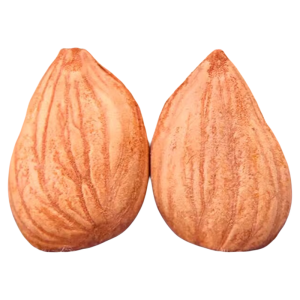 WENXIANGZAN | Unprocessed Almonds Xinjiang