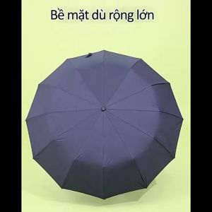 (HCM) Ô Dù Che Mưa Che Nắng 12 Nan Tự Động Gấp GọnThép Chịu Lực Tốt. Chất Liệu Vải Dù Chống Tia UV