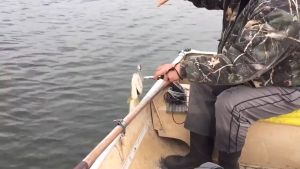 TeeWap Alat Penangkap Penjepit Bibir Ikan Fishing Lip Grabber Stainless Steel Murah