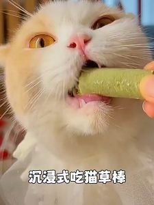 Freeze Dried Pure Raw Meat Chicken Cat Grass Cube Stick Hairball Removal Control Cat Dog Treats Snack Booster Molar 50G