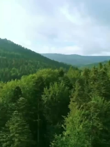 เครื่องผลิตออกซิเจนแบบพกพา 7 ลิตร โหมดพัลส์/คงที่ 7 ระดับ ความเข้มข้น 96% ใช้งานได้หลายวัตถุประสงค์ ในบ้าน/กลางแจ้ง