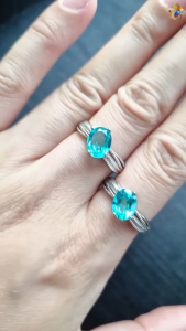 Collectors Grade Paraiba Blue Topaz Titanium Adjustable Rings (2 Designs)