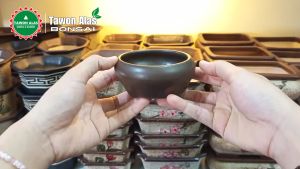 Pot Bonsai Keramik Mame Bulat