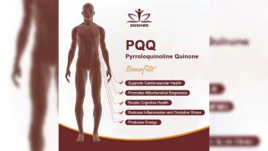 SNGHWE PQQ Supplement 20mg supports brain health anti-aging brain supplements brain memory and memory supplements