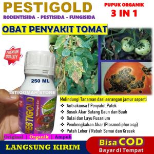 OBAT PENYAKIT TOMAT AMPUH PESTIGOLD 250ML Fungisida Organik Hayati Obat Busuk Buah Akar dan Batang Bercak Daun Rebah Semai Patek Layu Fusarium Akar Bengkak Virus Gemini Pada Tanaman Tomat Paling Manjur dan Tokcer