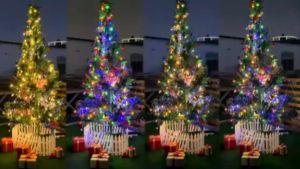 Solar Christmas Lights Outdoor Color Changing 50/300 LED 9.5/32meters Waterproof Christmas String Lights with 11 Modes 2 in 1(Warm/Multicolor) Solar Powered Crystal Globe Lights for Garden Home Party Christmas Decorations