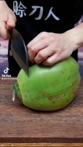 PISAU KOKI SUPER TAJAM JAPANESE SUPER KNIFE STAINLESS STEEL