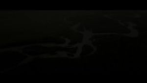 💗🙋‍♀️💗法国维克眼净宠物洗眼液泪痕清洁除眼屎狗水猫咪滴眼液犬