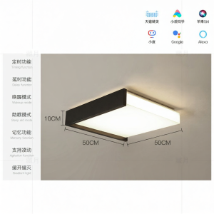 Full Spectrum Eye Protection Ceiling Light