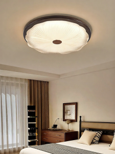 DGY | Retro Eye-Protection Ceiling Light