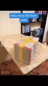 [200 CÁI ] KHẨU TRANG 5D THỊNH PHÁT - ANNA