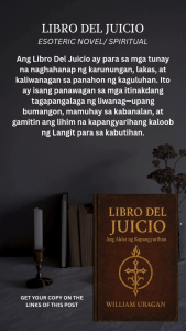 Libro Del Juicio l William Ubagan l Esoteric & Spiritual Novel l Paperback l Pocketbook Size