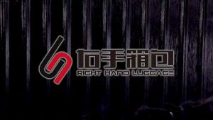 Sarung Cover Koper Penutup Pelindung Luggage 22 In Elastis Transparan