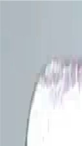 Cutter Kue Cantik / Pemotong Adonan Kue Cantik / Cetakan Kue Kering / Sinlian Acuan 174