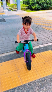 Royal Baby RAWR | 12" Balance Bike | Magnesium | Walking Bike for 3 to 5 Years Child/ Kids/Toddler/Beginner