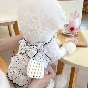 Summer Thin Pet Skirt Teddy Cat Cat Bichon VIP York Summer Pomeranian Puppy Clothes Summer