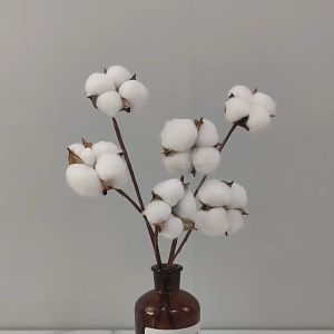 Hoa Bông Gòn kèm cành - Hoa khô trang trí decor phụ kiện chụp ảnh quà handmade Hoa Khô Màu Sắc Xanh Hồng Trắng - Lazada