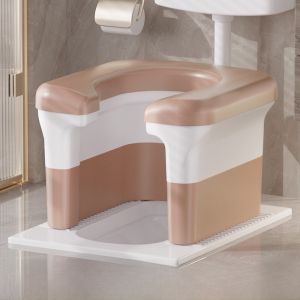 Portable Dignity Toilet Stool Chair for Pregnant Women Elderly People Bathroom Aid Household Use Non-Adjustable Height