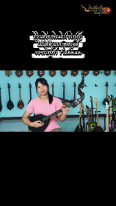 พิณโปร่งไฟฟ้าไม้แต้ดำ บอดี้แบบขุดโปร่ง 3 สาย 15 เฟรต วงจรไฟฟ้า Fishman คุณภาพสูง