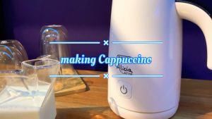 Máy tạo bọt sữa cao cấp Delonghi Alicia EMF2.W