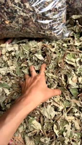 Trà lá mâm xôi rừng hỗ trợ đào thải dịch viêm pkthông vòi trứngđa nang btivfIUI