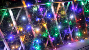 30/50/100M 180/500/1000L LED Transparent Line Green line Christmas Lights