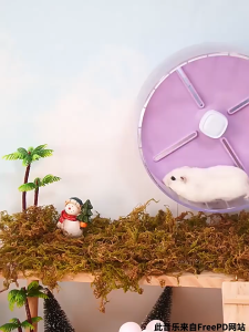 Large Hamster Wheel 20cm/26cm premium silence hamster running wheel