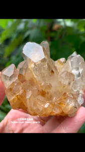 彩光🌈红泥黄娇花晶簇RED Clay Yellow Resin Flower Quartz  能量晶石🔮 摆放和其它水晶一起发货更好功效✅ #能量之石 #水晶 #与你相遇  H3.5cm x 6cm x 5.5cm Weight重113g  彩光红泥黄娇花晶簇是一种色彩斑斓、富含能量的天然晶石，具有提升正能量、净化磁场的功效。与其他水晶一起摆放，可增强整体能量共振效果，是理想的空间摆件选择。#水晶 #能量之石  Rainbow-colored Red Clay Yellow Resin Flower