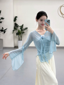 Bộ Đồ Biểu Diễn Khiêu Vũ Cổ Điển Bướm Cỏ Nướng Áo Khiêu Vũ Cổ Điển Thân Hình Áo Lụa Thân Hình Biểu Diễn Nhẹ Nhàng Đầm Khiêu Vũ Cổ Điển