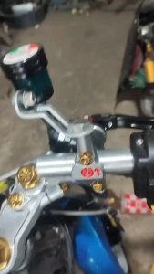 2PCS DOMINO Hydraulic Brake switch