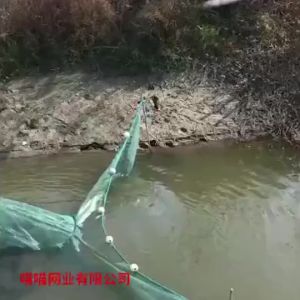 3x1x3m(Wx Hx Tail) Fishing Net Trawl Folding Fish Shrimp Cage Net Fishing Traps