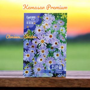 (KEMASAN PREMIUM) BIJI | BENIH BUNGA ASTER SKY BLUE ( isi -+5.000 butir)