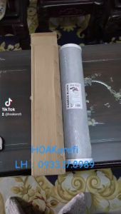 Lõi Lọc Chặn - Đầu NGuồn CTO 20 Inch Béo