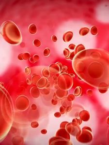 🔥High Power🔥 Student Microscope Lab Professional 200 3000X Mikroskop Biological 显微镜